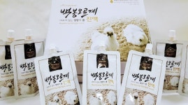 백봉오골계 즙 진액 90%엑기스(오리지널 120ml 대용량 여름 건강 선물 이벤트 행사 특판 ) 백봉춘천농장 : 백봉오골계강촌가정리