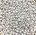 [아도아잡] 수입 캐나다 20년 햇곡 흰강낭콩 5kg 잡곡 1kg씩추가가능 : 아빠도토리 아들잡곡