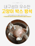 반려묘 고양이 골판지 변형 박스 방석 : 소울마트