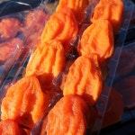 지리산 대봉 곶감 반건시 선물세트 30구 : 자담농원