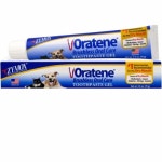 (바로배송)오라틴 메인터넌스 겔 70g, Oratene brushless oral  care gel, 강아지바르는치약, 반려견 치약 : 그룸샵