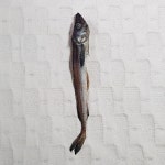 중국산 건어물 진향통명태 (1봉지 10미)44~45cm, 당일발송, : Happy Life
