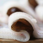 칠암식 활어회 아나고회 세꼬시 막회 붕장어 택배 350g : 달빛도마