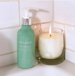 셀젠 크린센스 와이존이너케어질세정제 : 셀젠 공식스토어