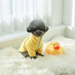 데일리집업후리스 (옐로우) : 어썸퍼피