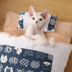 고양이이불방석 침낭 강아지방석 켄넬 포켓 고양이쿠션 담요 강아지 유모차 개모차 하늘오리 L : 고양이축제