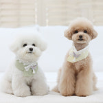 한복 넥카라 나비브로치 강아지 케이프 고양이 애견 악세서리 : 모모스페이스