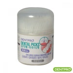 덴트프로 삼각형이쑤시개 500p 케이스 구강청결/칫솔/입냄새/치실/치간칫솔 : 데일리원샵