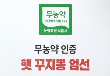 이상인 밀양꾸지뽕열매 진액50포(낱개) : 헤븐쇼핑마켓
