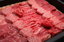 태백 정육점 1+등급 숙성 한우 꽃등심 갈비살 채끝 안심 사태 양지 알뜰 소고기모듬 : 태백정육점