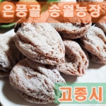 경북예천 고종시 건시 25과 실속형 가정용 포장 자연건조 맛있는 어르신간식 꽃감 곳감 : 은풍골송월농장