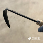 양파호미 냉이캐기 : 주식회사 대덕