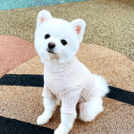 에밀리 골지 티셔츠 신축성좋은 강아지옷 S-2XL : 펫트리