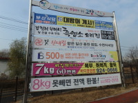 고양시지정게시대 현수막제작 일산 파주 구청게시대 (10장) : 광고언니