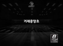 게코스포츠 거제중앙초등학교 배구클럽 거제배구유니폼 통영배구유니폼 거제학교단체복 : GEKO SPORTS
