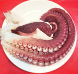 안동강구문어 [통문어1kg] 안동특산물문어  동해참문어  선물용 제수용 바로삶아 배송합니다 : 안동강구문어