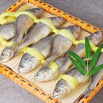 청산상회 영광굴비선물세트 10마리 1.6kg 고급선물용 명절선물세트 : 노랑공방