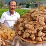 봉동 생강으로 만든 참편강 200g 500g 1kg : 식품의 품격