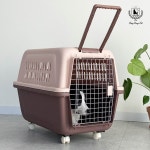 딩동펫 반려동물 이동장 항공켄넬 400 : 딩동펫
