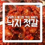 [오박사네 젓갈] 오박사 젓갈 낙지젓갈 오동통 탱글탱글 낙지젓 밥도둑 젓갈반찬 500g 1kg : 오박사네 젓갈