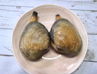 조개구이찜세트 2kg 가리비 키조개 소라 대합 홍합 칼국수면 : 바다베개