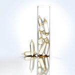 세모스쿠알렌 5g 36캡슐 : 세모시즌