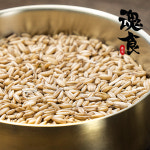 [혼식] 국산 귀리 3kg 1kg / 2024년산 : Soul Food-혼식