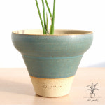 싱고니움 그린스플래쉬+제네스포터리 : 올드 가우디