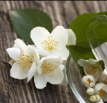 [더위치]쟈스민캔들향 100ml 자스민캔들향 Jasmin Fragrance oil : 더위치