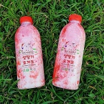 생딸기 요거트 요구르트 평창보배목장 1000ml : 숏핑라이브
