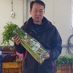친환경 경산 육동 미나리 1kg : 식탐정
