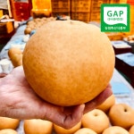 먹골배 남양주먹골배 5kg 7.5kg 신고 배 햇배 꿀배 가정용배 흠집배 못난이배 과일배 : 맛고을장터