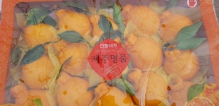 제주 서귀포 한라봉 5kg 10kg 산지직송 싱싱하고 맛있는 한라봉농장 : 동환이네농장