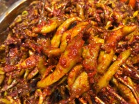 [오박사네 젓갈] 양념고추 무침 국민반찬 혼밥 도시락 아삭아삭 꼬들꼬들 식감 최고 양념고추무침 오박사 반찬 저염 숙성 500g 1kg : 오박사네... 