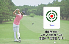 골프 잘치는법 옥상골프장 골프연습장 만들기 집에서 골프연습 : 자동차토탈