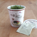 [완도바다가득히] 사골맛미역쌀국수-(12개) 진하게우린 구수한맛 해조국수 쌀국수컵라면 : 씨위드마켓