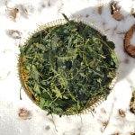 정선 건취나물 말린 취나물 마른 건나물 종류 효능 강원도 특산물 특산품 산채 음식 건조 : 맛고을장터