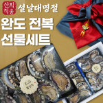 산지직송 완도 제철 살아있는 전복 1kg (6~60미) : 내고향 농수산