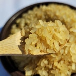 쌀아지매 국산 햇 올기쌀 주전부리 햅 찹쌀로 만든 찐쌀 1kg : 쌀아지매