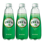 롯데 트레비 라임 500ml x 20펫트 : 서희에프앤비