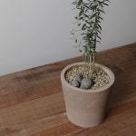 올리브나무키우기 집에서키우기쉬운식물 거실화분 중형 이태리토분세트 : 그린 다이닝