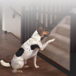 펜스 강아지 울타리 플라스틱 애견 휀스 반려견 애완견 소형견 대형견 개철망 애완동물 개문 : 단감마켓