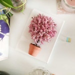 프리저브드 플라워 벚꽃나무 액자 만들기 KIT : 플로인