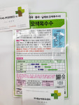 옥수수종자/오색옥수수 정품 100립 1봉 : 두레농약종묘센터