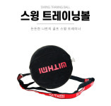 스윙볼 골프 스윙자세 교정 운동 : 동동 상회