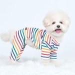 마이앨리스독 3컬러 사이즈 S-XL 레인보우 웜 따뜻한 올인원 명품 강아지옷 브랜드 강아지 명품옷 애견 수제옷 : 마이앨리스독