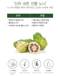 앙쥬 노니 테라피 샴푸 : 에스엠루다컴퍼니