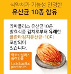 녹차 카테킨 마테 체지방분해 라파플러스 팻슬림다이어트정 : joymaker