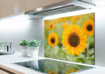 코나 주방아트보드 해바라기풍경 꽃 금전운 풍수 주방아트글라스 주방아트월 레터링 : 코나주방아트보드