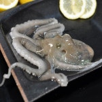 중낙지 목포 무안 뻘낙지 신안 세발낙지 산낙지 국산 120g, 1개 : 삼부자낙지
